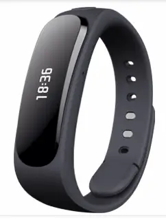 Huawei TalkBand B1